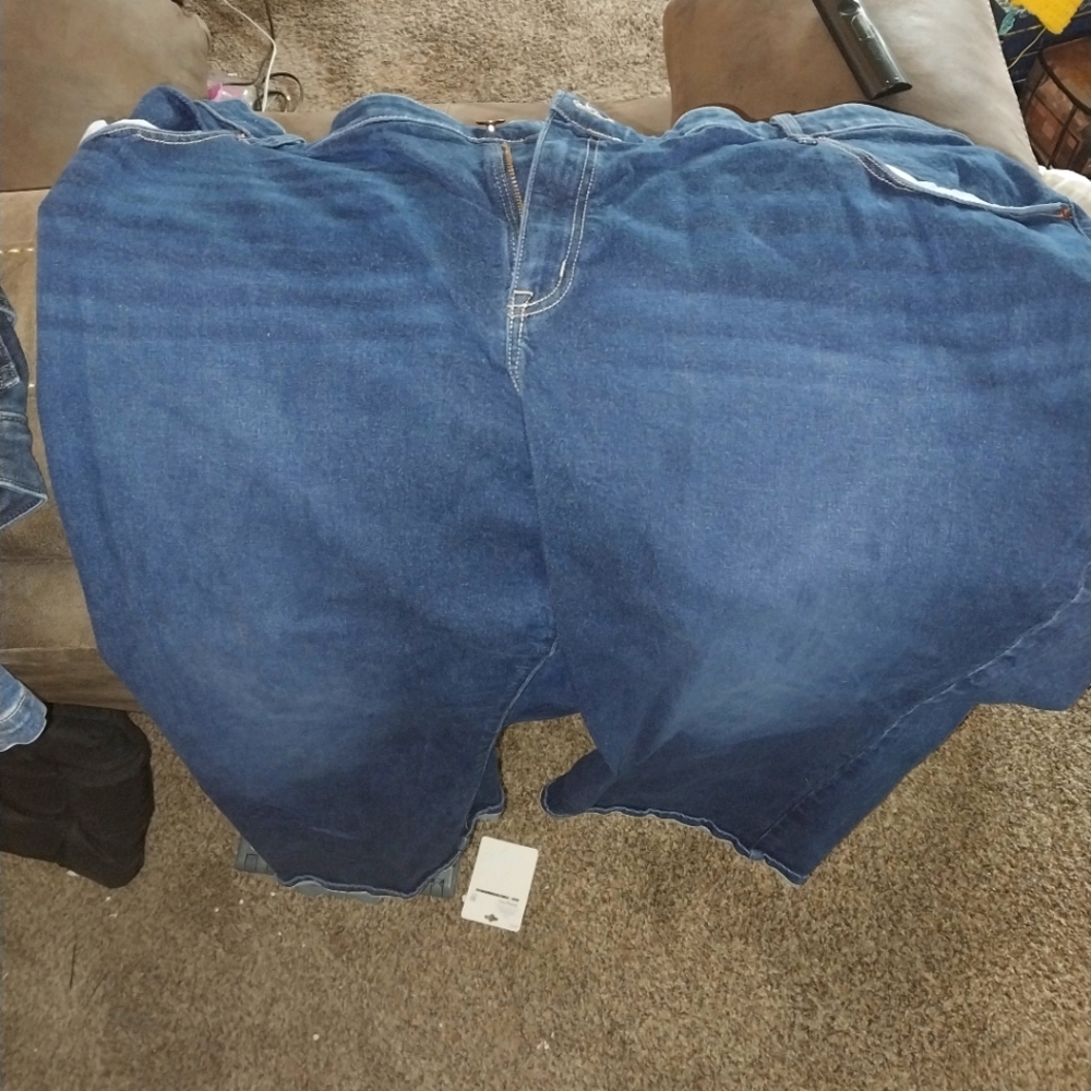 Lane Bryant jeans